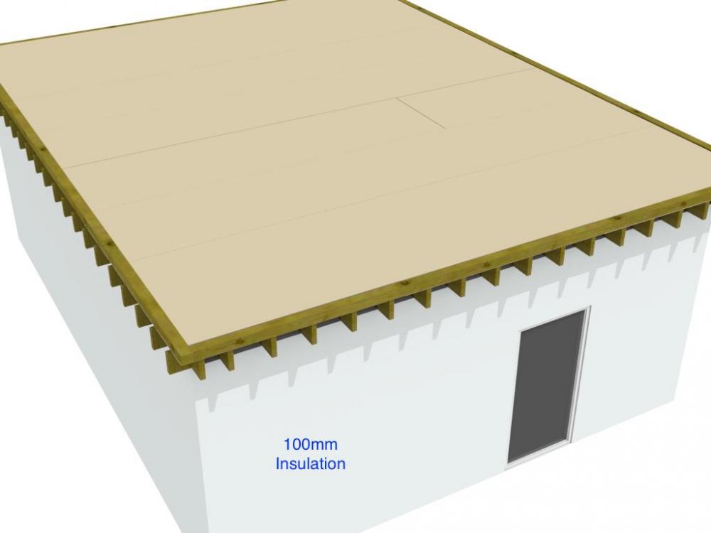 roof_4.thumb.jpg.9878ec169e84147ec660df854e57189c.jpg