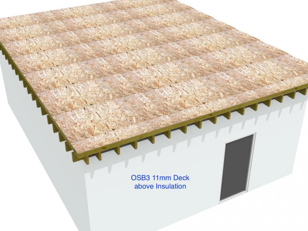 roof_5.thumb.jpg.655b5292a0c976b611372acba9be467e.jpg