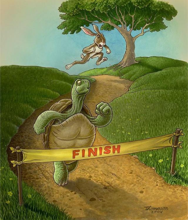 tortoise-and-hare.thumb.jpg.f0bb08e3e111e66e0e26d29201a9377f.jpg