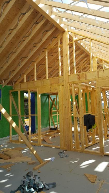 2080926194_interiorstudwalls.thumb.jpg.9e39a0f7a3e7a961d41ddeafe628a534.jpg