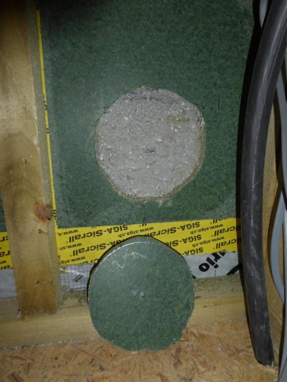 252433450_Holeininnerwall-cellulose.thumb.JPG.8b0d448490aaac3e0629a91032ab3e28.JPG