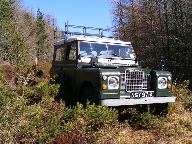 forest1.jpg.da739d9e8adeafd026c36f1d46aeac32.jpg