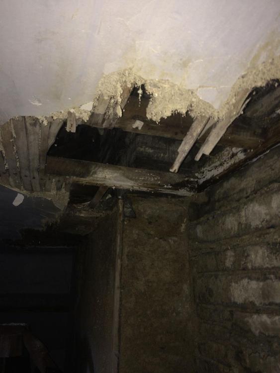 ceiling1.thumb.jpg.ff3f78a4df77297bad665a025d1c699f.jpg