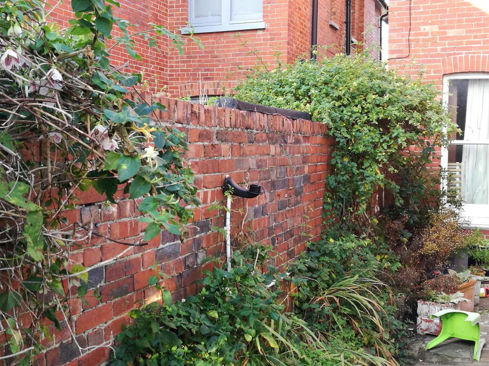 Garden_wall.jpg