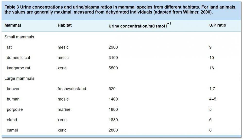 urine-concentration.thumb.jpg.a05e54a4f464187a1b18f9ff926d5cf5.jpg