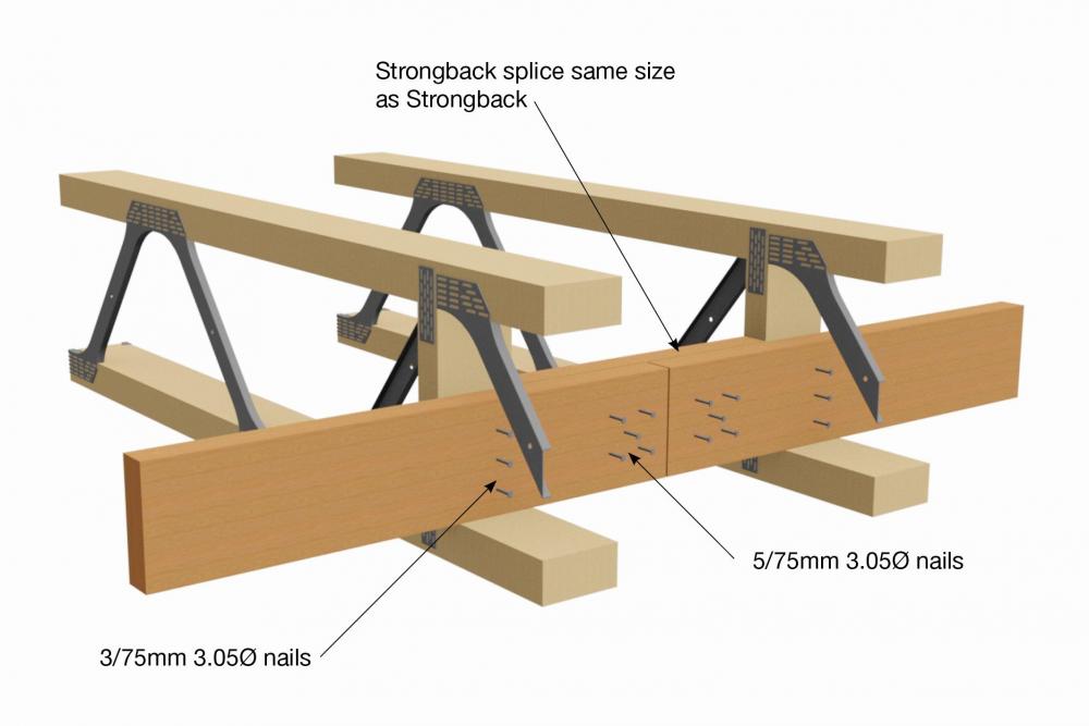 strongback.thumb.jpg.5bd0e355389b34011fb763b64de33d79.jpg