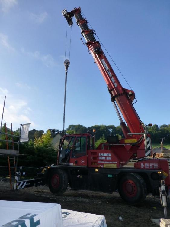 1618057784_Crane1.thumb.JPG.eb787e14b3c845f641b2078d594a4efd.JPG