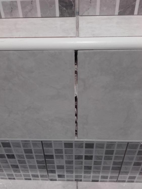20190119_101854.thumb.jpg.03a925e601c0d6666a771bf32fd7cd97.jpg