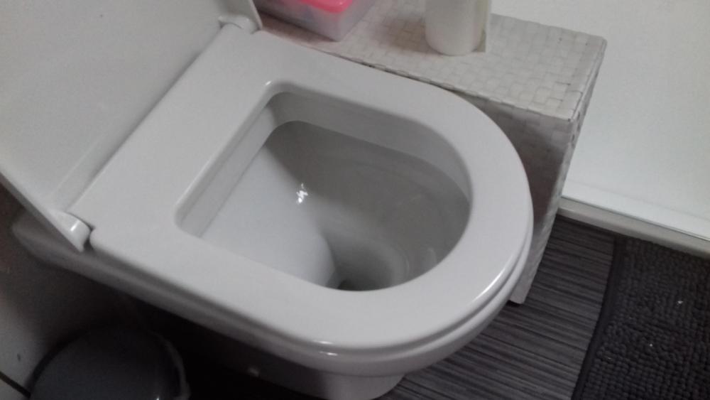 274789213_toilet2.thumb.jpg.c053de14e3a0b0935452a4540c8acfbb.jpg