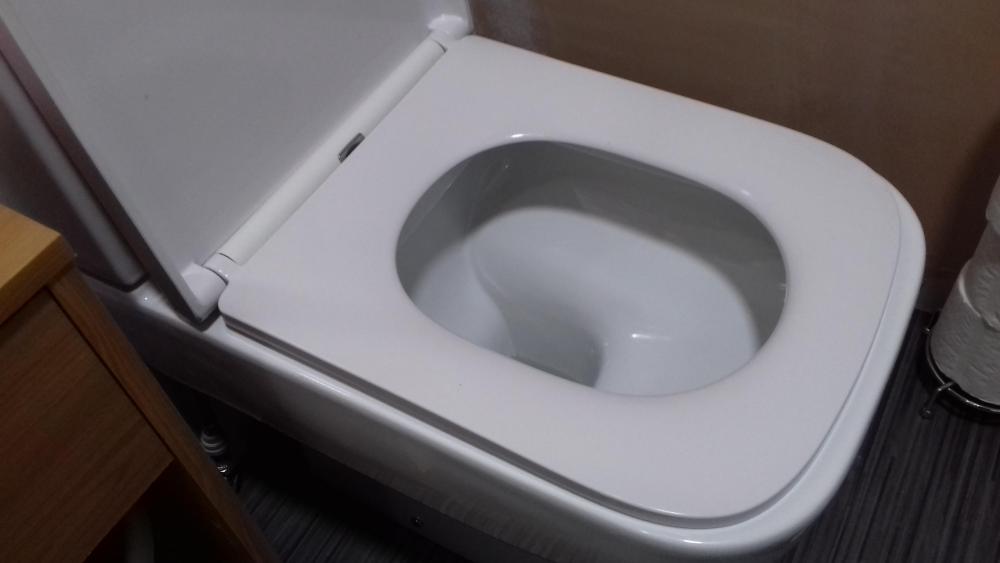 500188686_toilet1.thumb.jpg.3ee82dd6ccd64a7f320c2af34b294243.jpg