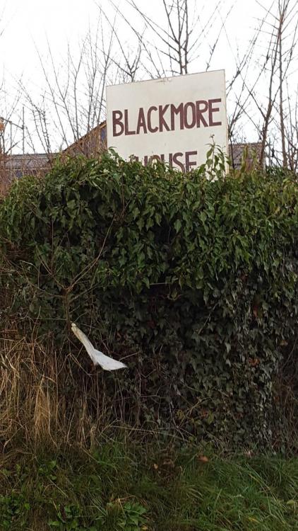 888286167_BlackmoreHousesign.thumb.jpg.a6c35ce2b5cb6d14c196547fb8d8434d.jpg