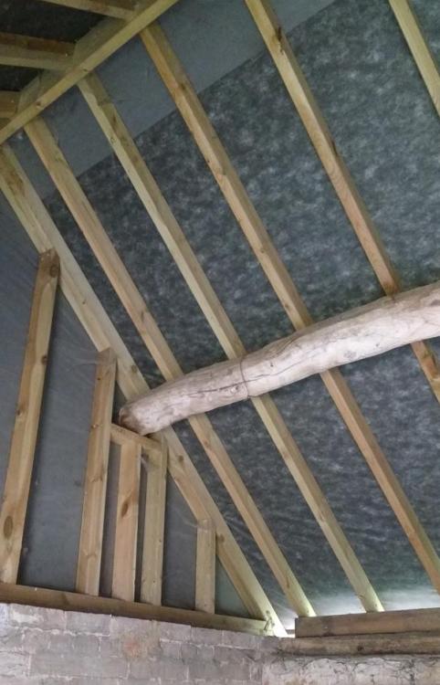 pitchedroofsmall.jpg