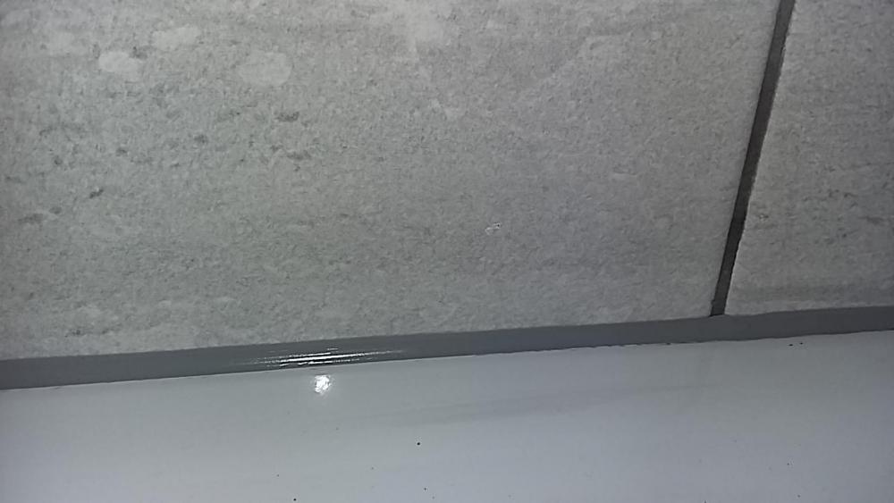 20190209_100304.jpg