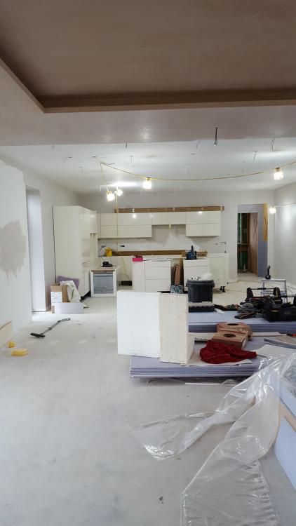 842966229_kitchenstarted.thumb.jpeg.6d23923442070b603e61033c77c16114.jpeg