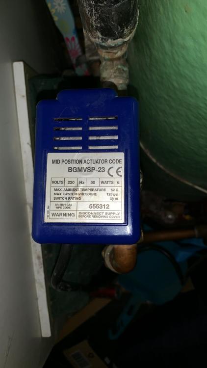 IMG-20190202-WA0003.thumb.jpg.70fd0003c647ab59038bd2597305dd17.jpg
