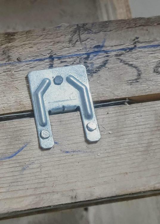 20190306_123752.thumb.jpg.e72f3cbb1a5fdb52b45c711bee85ca49.jpg