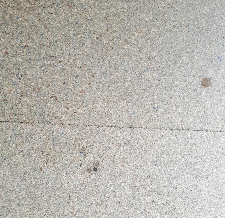 20190321_093553.thumb.jpg.19b8db3add9cce9540b97f5c32990e8e.jpg