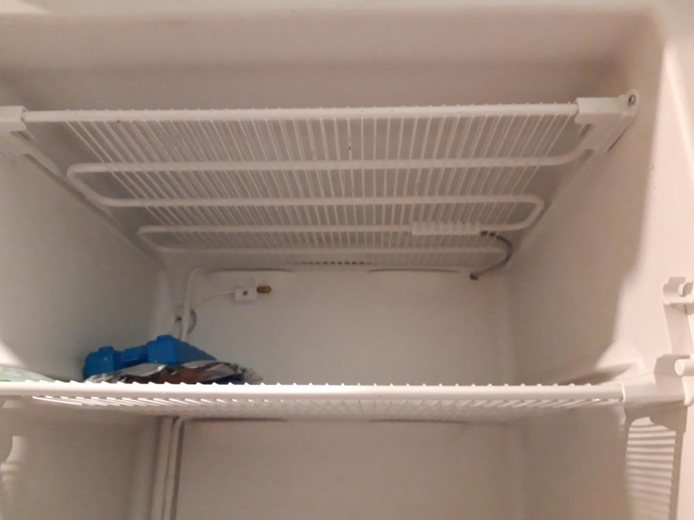 20190325_191752.thumb.jpg.3006c4071270f82b2f658ff0641b02a9.jpg