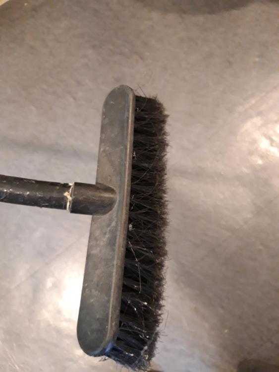 20190331_132617.thumb.jpg.0c94ab703ac23df672475c68c8c450ca.jpg