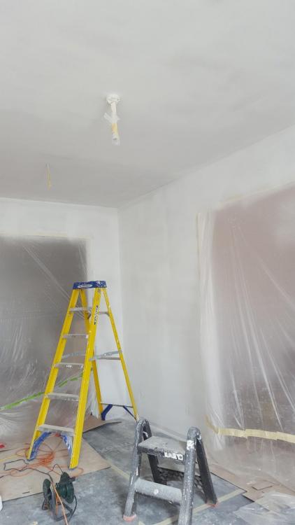462867369_Hallwaymasking.thumb.jpg.fcf682813707f11fee29bb1c502881aa.jpg