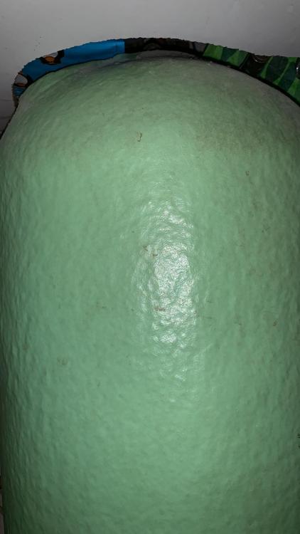 IMG-20190316-WA0006.thumb.jpg.6356a5b6ca2cc801049f593aa4a7e98c.jpg