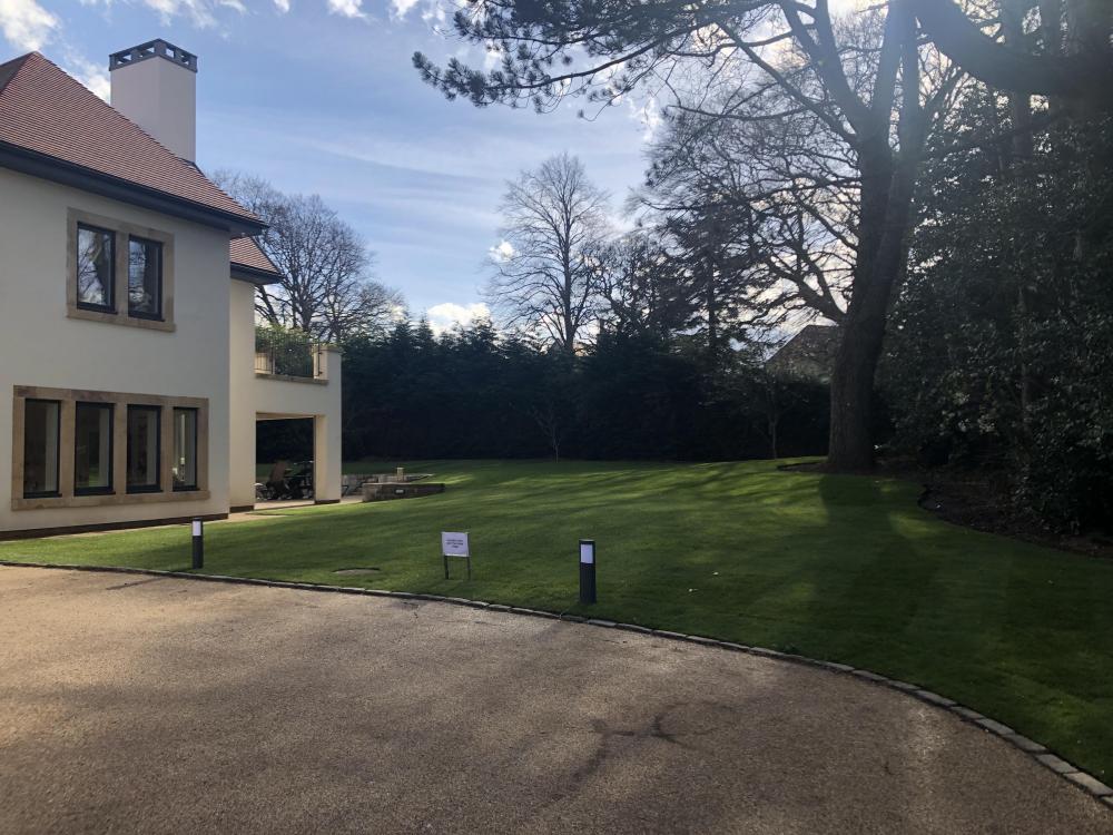 IMG_7079.JPG
