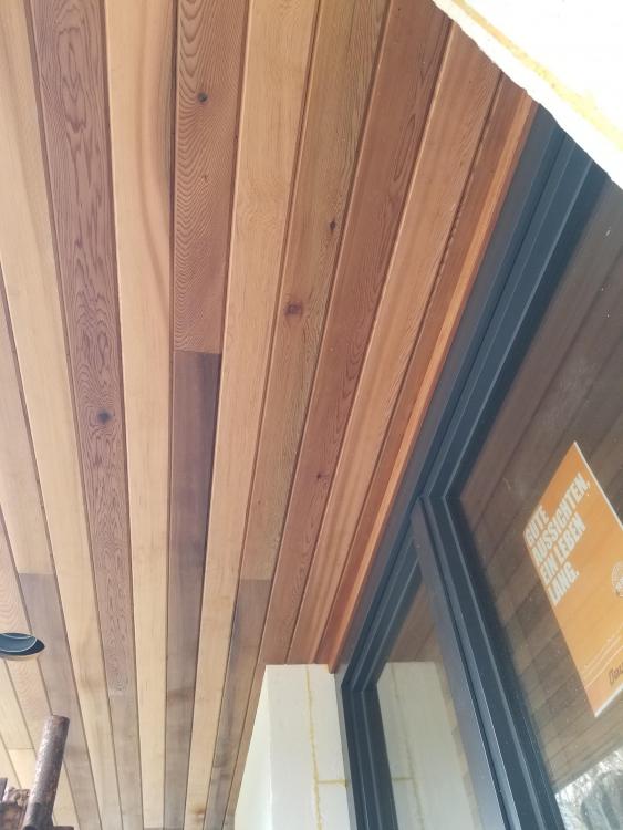20190408_105832.jpg