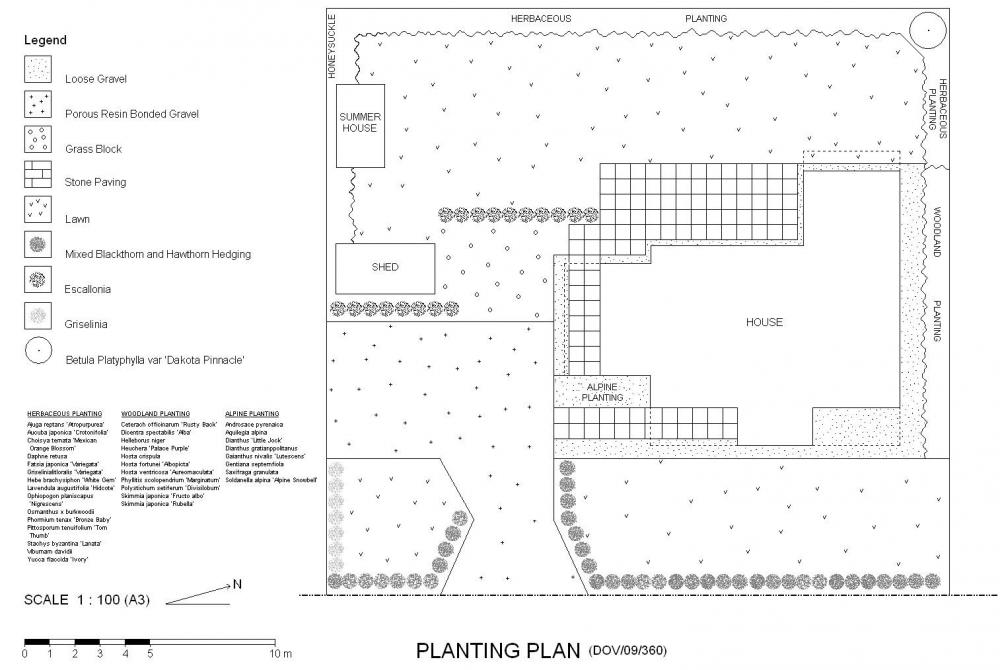 810120039_PlantingPlan4.thumb.jpg.e08b4e50e561925c90d93da218198488.jpg