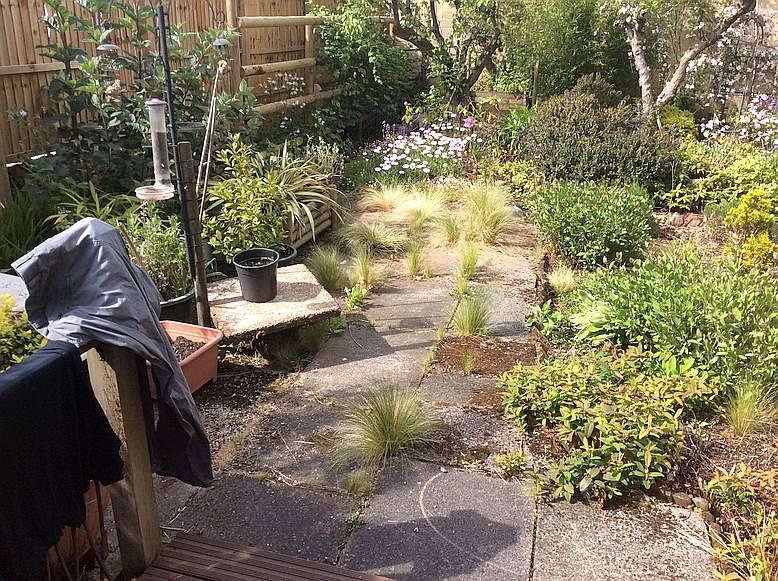 1905325357_wb-garden-1-small-Copy.jpg.0b6fe861f3bad0a125a38b64de2bcf56.jpg