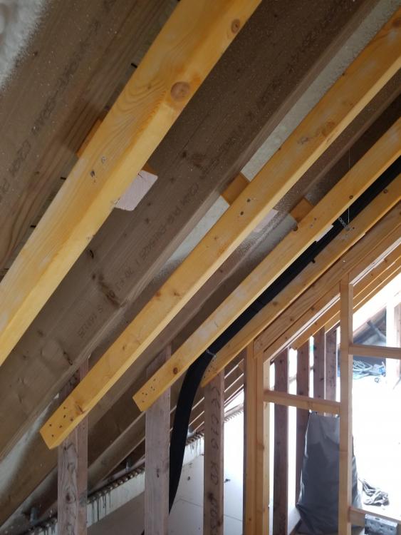20190411_094125.jpg