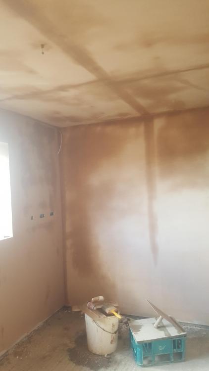 20190504_170220.jpg