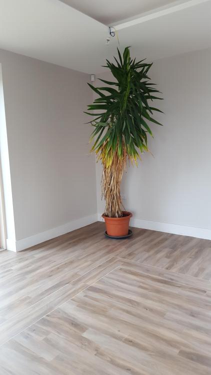 IMG-20190418-WA0010.thumb.jpeg.68948be4e1e17d5d55ab463a94335238.jpeg