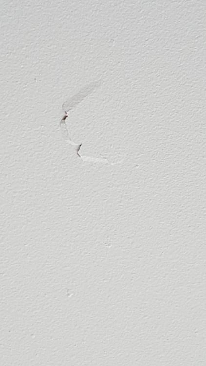 IMG-20190508-WA0001.jpeg