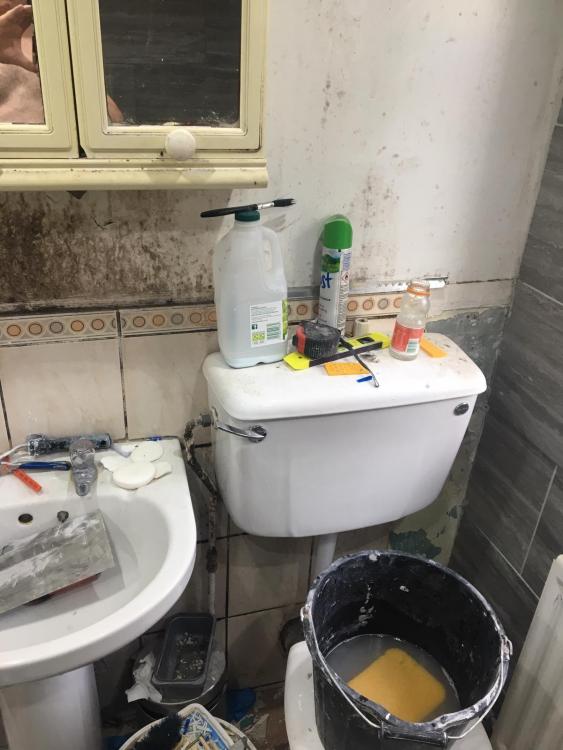 IMG-20190528-WA0010.jpg