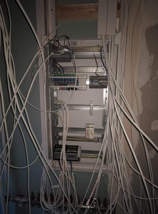 received_2302410503369217.thumb.jpeg.d0318a19bd4240cc20f9b55b3c715763.jpeg
