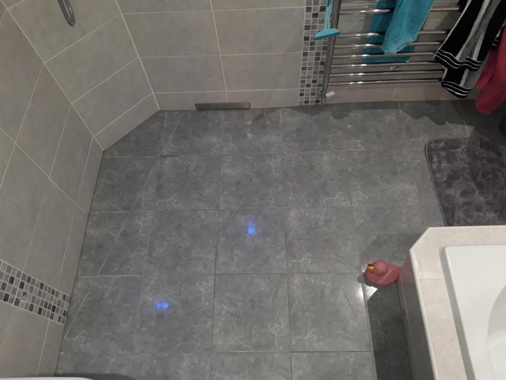 20190626_205045.thumb.jpg.850b4f0541978457519d34a2add2e74e.jpg