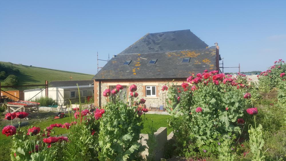 20190627_080918.jpg