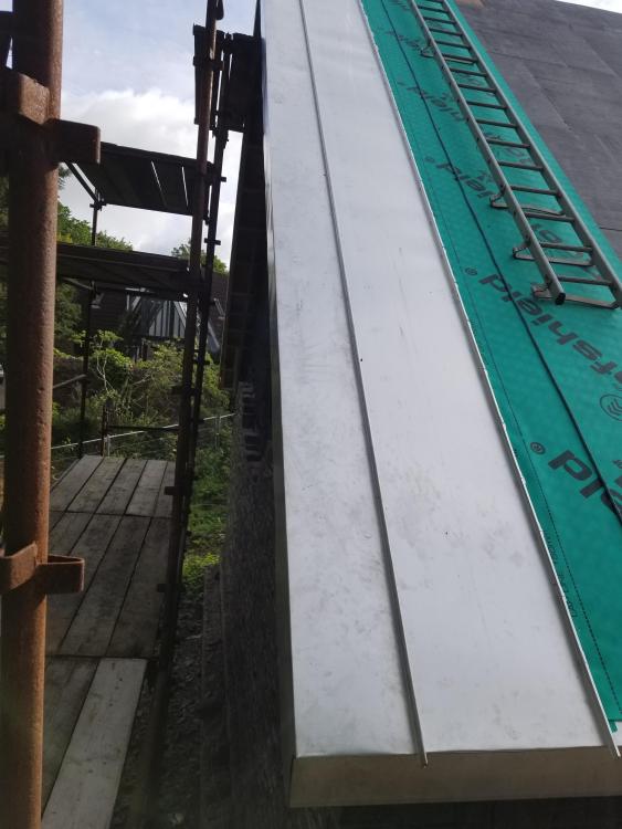 20190705_075949.thumb.jpg.1a3a99b4971f8936a04dd4fed662f93f.jpg