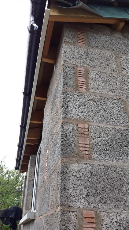 20190710_101200.thumb.jpg.97d1ea28a36ef9f5310b03b85b12c5ef.jpg