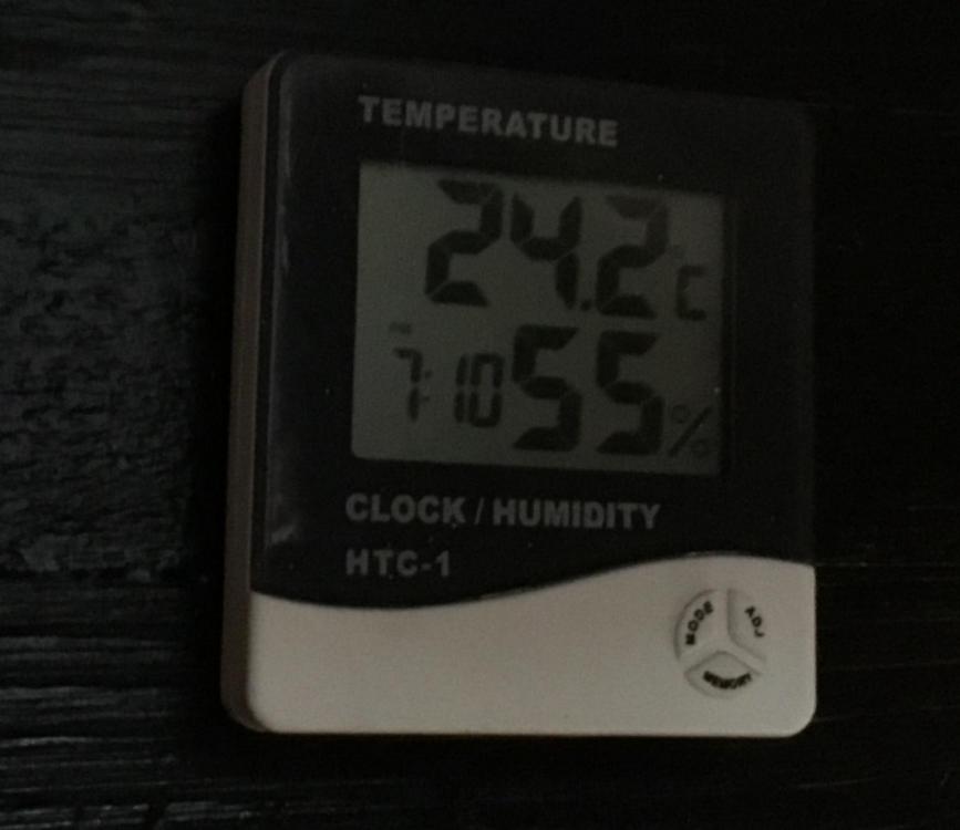 4AF8EBC5-7CC2-4C79-90BF-AB013FADC969.jpeg