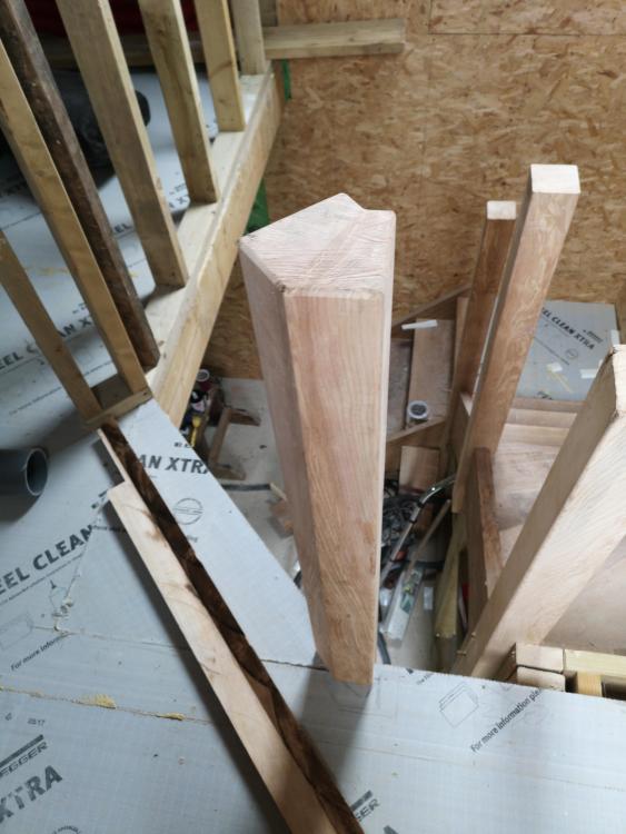 IMG_20190616_112610.jpg
