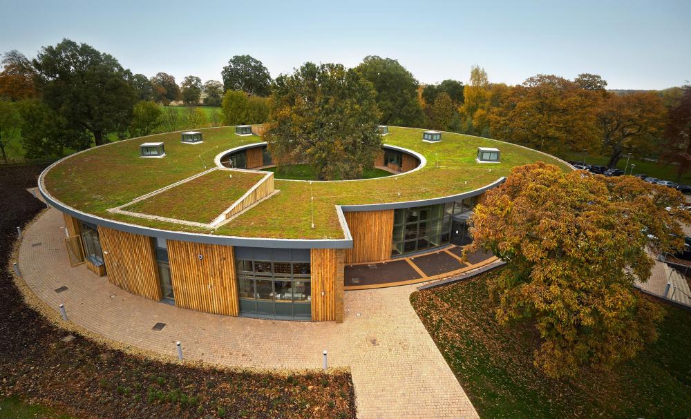 Green roof.jpg