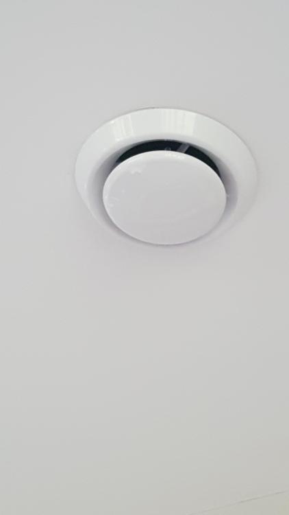 20190930_093518.thumb.jpg.34c896e26a8cdc346119176c218249bd.jpg