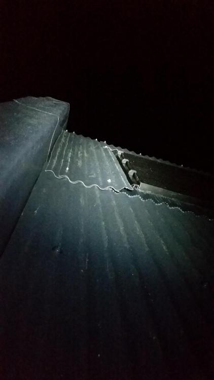 1381603781_20191023-RoofDetails(8).thumb.jpg.f55eea0200b578eddca755fbbbdfdd22.jpg
