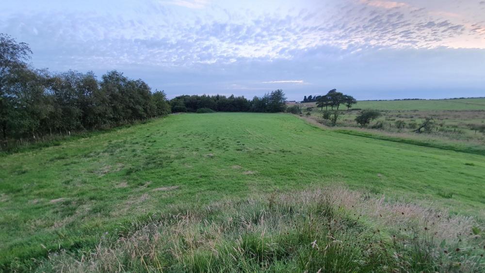 elevated view looking west from east extent.jpg