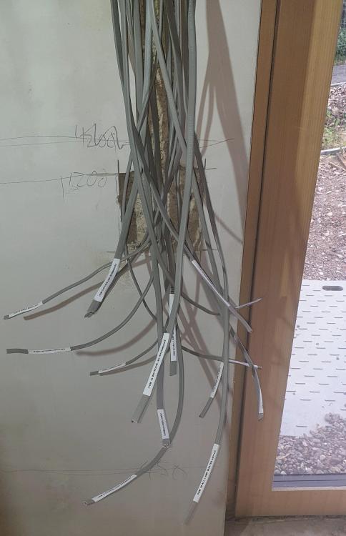 20191015_140126.thumb.jpg.dced9240ab113fcf0e272c41d933e8c2.jpg
