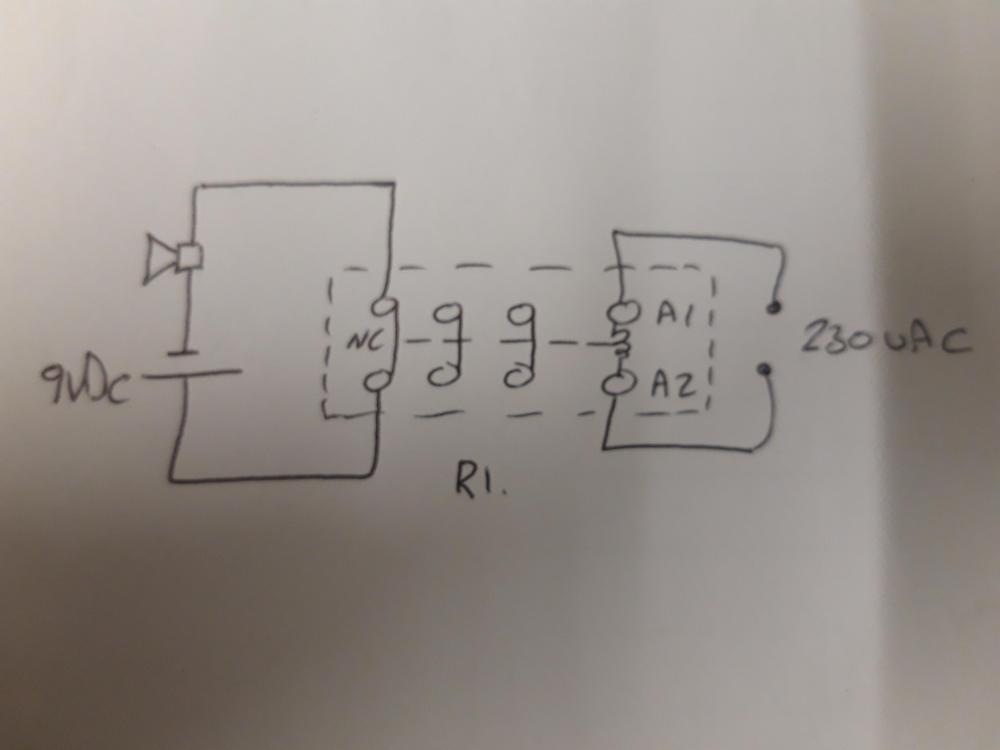 20191016_141458.thumb.jpg.3da90acc68840137269da1a9f9476401.jpg