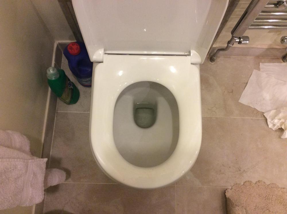 DD12170E-9636-4717-A6FE-0BC2589BAC72.thumb.jpeg.10c225b762bfb8c547988f5b72dfca99.jpeg