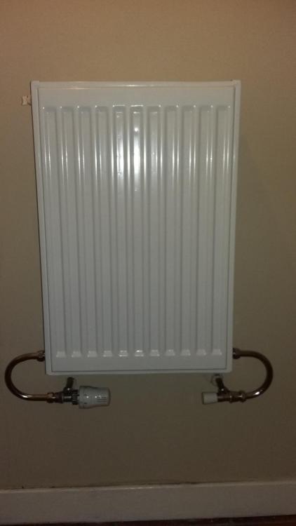 Fionas_radiator.thumb.jpg.121eabe6ca41496a8363207bfd2ffd59.jpg