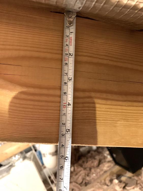 Roof Rafters.JPG